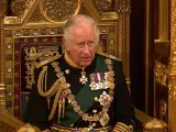 El príncipe Carlos, encargado del discurso de apertura en Westminster