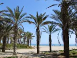 Playa El Pinar de Castellón