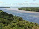 Vista aérea de la selva amazónica y el río Amazonas, a su paso por Brasil.