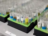 Probetas de pruebas PCR en el Laboratorio de Microbiología del Hospital público Gregorio Marañón, a 31 de mayo de 2022