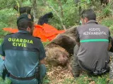 Un guardia civil y un agente medioambiental, junto al cadáver de oso macho hallado en la Montaña Palentina.
