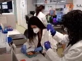 Investigadoras trabajan en el laboratorio del Instituto de Investigación del Hospital Sant Pau de Barcelona, en una imagen de archivo.