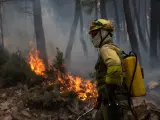 Un bombero trabaja en la extinción del incendio en la Sierra Culebra, en Zamora, el 16 de junio de 2022.