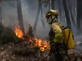 Un bombero trabaja en la extinción del incendio de Sierra de la Culebra, en Zamora, este jueves.