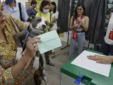 Una mujer con su perro y el sobre con su papeleta se dirige a la urna para ejercer su derecho al voto en el colegio electoral de la SAFA de Sevilla.