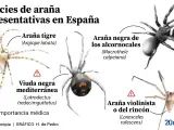 Arañas de la península ibérica.