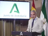El consejero de Presidencia, Elías Bendodo, en rueda de prensa.
