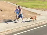 Encuentran un perro con seis patas en Google Maps.