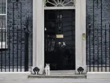 Larry, el gato del número 10 de Downing Street.