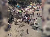 Dos leones marinos causan el caos en La Jolla Cove, playa de San Diego.