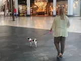 Una mujer paseando a su perro en un centro comercial.