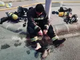 La impactante foto de los bomberos de Jaén exhaustos que ha conmocionado a las redes.