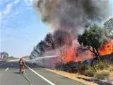Miembros de la UME intentan apagar el incendio forestal de Casas de Miravete, en Cáceres.