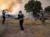 Un bombero y dos vecinos trabajan en la extinción del incendio de Losacio, a 17 de julio de 2022, en Losacio, Zamora, Castilla y León (España).