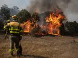 Incendio en Zamora