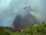 Imagen del incendio forestal que afecta a los municipios tinerfeños de Los Realejos y San Juan de la Rambla.