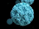 Un norovirus, en una imagen de archivo.