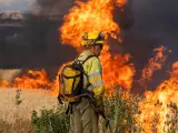 Un bombero observa las llamas del incendio de Quintanilla del Coco, en Burgos, en una imagen de archivo.