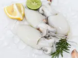 Seafood squid on ice for cooking food in the restaurant, Fresh raw octopus cuttlefish ocean gourmet with lemon and rosemary on white plate