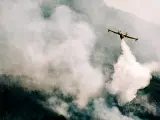 Un avión trabaja en las tareas de extinción del incendio de Ávila.