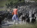Una pastora camina por el campo junto a un rebaño de cabras de la empresa Suerte Ampanera, dedicada a la explotación racional y ecológica de la tierra y la elaboración de alimentos ecológicos de calidad fielmente ligados al ecosistema, en Colmenar Viejo, Madrid