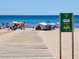 La playa de Gandia, la más buscada por los madrileños para las vacaciones de verano según Eskimoz