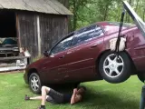 Y es que ser aplastado por un coche no parece el mejor de los planes. (Foto:Reddit/5_Frog_Margin)
