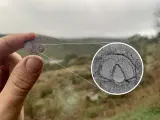 Hallan en Cumbres de San Bartolomé una nueva especie de fósil de trilobites