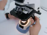 Una persona analizando bacterias en un microscopio.