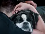 Abrazando a un perro.