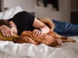 Persona en la cama con un perro.