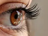 La córnea es la capa externa del ojo que lo protege de la suciedad u otros elementos perjudiciales.