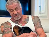 Sylvester Stallone, junto a su perro Butkus y en el hombro, el antiguo tatuaje de su mujer.