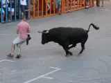 El Ayuntamiento de Alcàsser investiga la muerte de dos toros durante la semana taurina