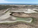 ANDALUCÍA.-Huelva.- El PSOE pide a la Junta que "reaccione" ante "los problemas" relacionados con el agua en Doñana