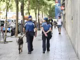 Una patrulla de Policía Municipal en la plaza de Lavapiés