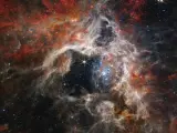 Imagen de la nebulosa Tarántula