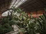 Jardines de la Estación de Atocha