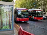 ANDALUCÍA.-Sevilla.-El Ayuntamiento pone en servicio las nuevas paradas de Tussam de las líneas 40 y 41 en Reyes Católicos
