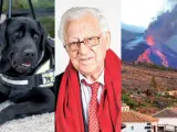 El Padre Ángel, los veterinarios que rescataron a los animales del volcán de La Palma y el perro guía Xabat son los galardonados de este año.