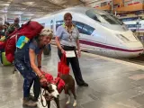Una perrita de tres años, la primera mascota de hasta 40 kilos que viaja en un AVE desde Zaragoza-Delicias RENFE 16/9/2022