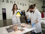 La Ciutat de les Arts i les Ciències convoca la XII edició del concurs científic 'Reacciona!'