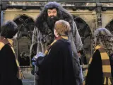 Robbie Coltrane como Hagrid en 'Harry Potter'