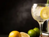 Imagen de un gin tonic.