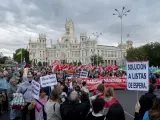 Cientos de personas durante una manifestación para pedir una sanidad madrileña pública en la plaza de Cibeles.