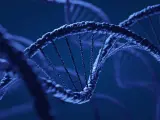 Una cadena de ADN