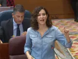 Isabel Díaz Ayuso, en una acalorada sesión de control en la Asamblea de Madrid.