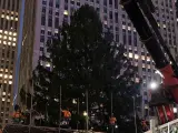 Operarios trabajan en la instalación del árbol de Navidad del Rockefeller Center de Nueva York.