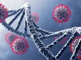Analizar genéticamente el virus puede ser clave para tratarlo en los casos más difíciles.