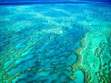 Gran Barrera de Coral.